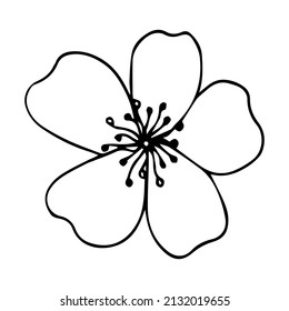 Hand drawn outline flower. Decorative floral element isolated on white background. Vector botanical illustration.
