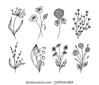 Hand drawn outline flowers in doodle stile, set. Sketch, botanical icons, vector	
