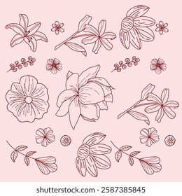 hand drawn outline flowers illustration. Line Drawing flower. hand drawn sketch of flowers illustration. 
