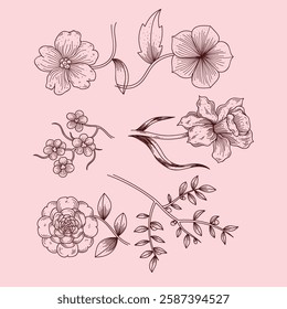 hand drawn outline flowers illustration. Line Drawing flower. hand drawn sketch of flowers illustration. 