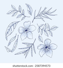 hand drawn outline flowers illustration. Line Drawing flower. hand drawn sketch of flowers illustration. 