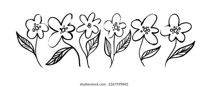 Hand drawn outline flowers set. Spring flowers vector set with leaves and stems. Chamomile or daisies stems with leaves. Black and white artistic botanical illustration isolated on white background.