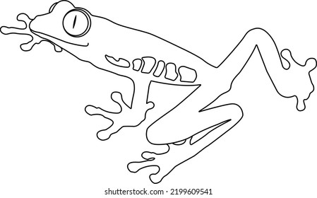 Hand drawn outline of frog. a black and white drawing of frog.