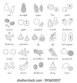 Hand drawn outline fruits and berries isolated on white. Pineapple, strawberry, acai, goji, kiwi, grapefruit, banana, blackberry, seabuckthorn, cherry, lemon, blackcurrant, fig, papaya, grape, peach.