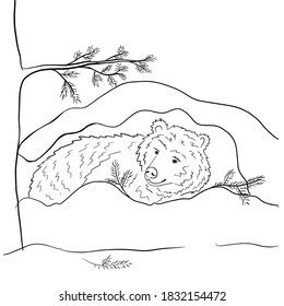 Hand drawn outline illustration of a bear in a den in winter. Vector illustration. Coloring page.