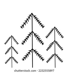 Hand drawn outline illustration of firs. Coniferous tree in doodle style