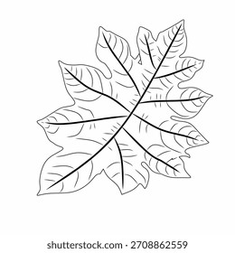 Hand Drawn Outline Leaf Botanical Illustration