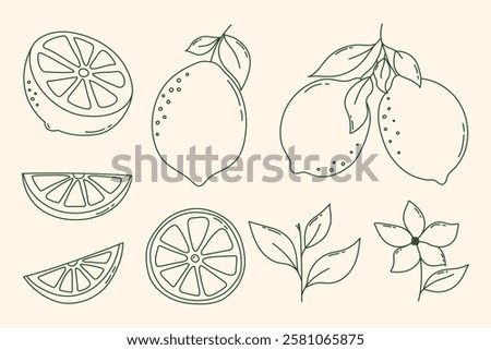 Hand Drawn Outline Lemon Fruits Set. Vector lemons, whole lemon fruits, flower, leaf, lemon slices and half cut lemon, chopped lemons set. Cartoon line art lemons collection for lemonade, juice