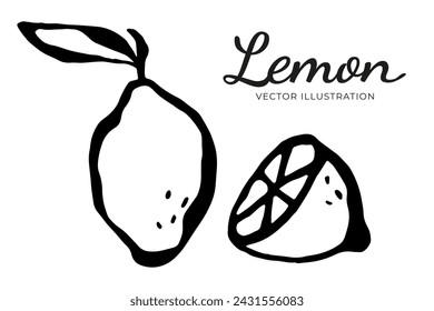 Dibujado a mano contorno limón, ilustración vectorial aislado sobre fondo blanco. Linea de arte negro para tarjeta o patrón de verano.