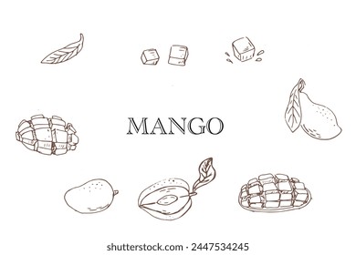 Contorno dibujado a mano Fruta de mango en ilustración de dibujo. Ilustración vectorial de frutas tropicales para sanos - mango. Pintura de tinta en estilo vintage. 