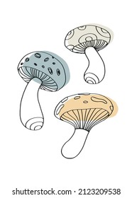 Hand drawn outline mushrooms poster. Contour print with toadstool for wall art and apparel.	