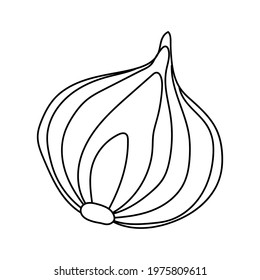 Hand drawn outline onion in section. Vegetarian healthy food. Vegan, farm, organic, natural. Vector illustration for icon, logo, print, icon, card, emblem, label, food menu