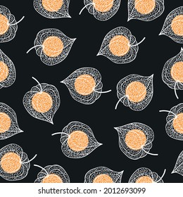 Hand drawn of Outline Physalis fruit. Vector illustration, seamless pattern. 