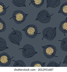 Hand drawn of Outline Physalis fruit. Vector illustration. 