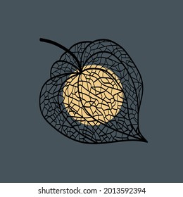 Hand drawn of Outline Physalis fruit. Vector illustration. 