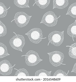 Hand drawn of Outline Physalis fruit. Vector illustration. 
