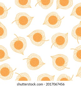 Hand drawn of Outline Physalis fruit. Vector illustration. 
