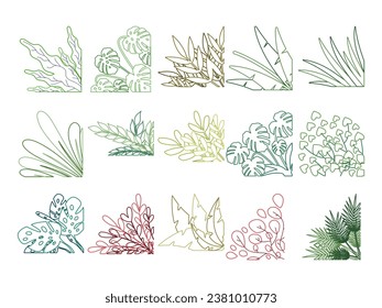 Hand Drawn Outline Plant Corner Border Collection