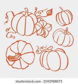 Hand drawn outline pumpkin EPS. Vegetable pumpkin plant for the production of packaging, textile, fabric and food. Pumpkin set plant color