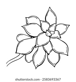 Hand drawn outline succulent isolated on a white background. Echeveria. Cactus in doodle style. Flowers in the desert. Vector illustration. Perfect for coloring book, greeting card, print.