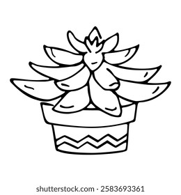 Hand drawn outline succulent in a pot isolated on a white background. Echeveria. Cactus in doodle style. Flowers in the desert. Vector illustration. Perfect for coloring book, greeting card, print.