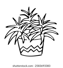 Hand drawn outline succulent in a pot isolated on a white background. Cactus in doodle style. Flowers in the desert. Vector illustration. Perfect for coloring book, greeting card, print.