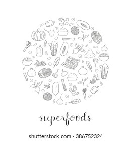 Hand drawn outline superfoods in circle shape. Pumpkin, acai, pomegranate, spirulina, beet, salmon, papaya, maca, pepper, cauliflower, sea buckthorn, celery, leek, ginger, cranberry, kale, lettuce.