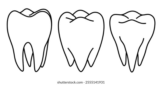 Hand drawn outline tooth. medical doodle set with art line style on isolated white background.