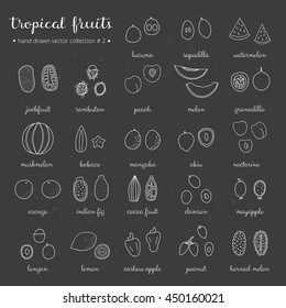 Hand drawn outline tropical fruits isolated on the blackboard.