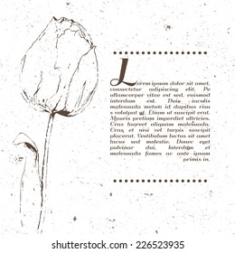 Hand drawn outline tulip with text space. Vector, EPS 10