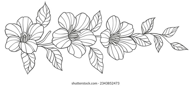 Hand drawn outline vector of flower svg