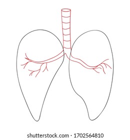 Hand drawn outline vector icon with lungs. Perfect for medical, pharmacy, medicines, drugstore design. Isolated on white background. EPS 10