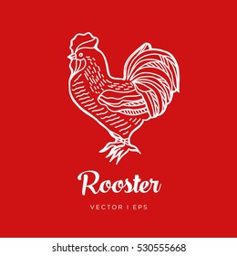 Hand drawn outline vector, rooster, new year symbol. Simple drawing.