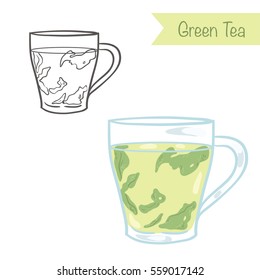 Hand drawn outlined and colored vector green tea