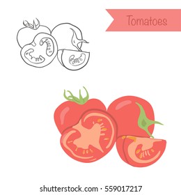 Hand drawn outlined and colored vector tomatoes