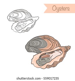 Hand drawn outlined and colored vector oysters