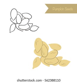 Hand drawn outlined and colored vector pumpkin seeds