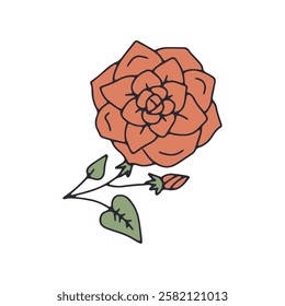 Hand drawn outlined red rose flower isolated on white background. Simple floral doodle sketch. Abstract botanical element.