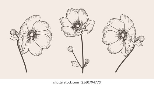 Hand drawn outlines of poppy flowers. Vector floral illustration