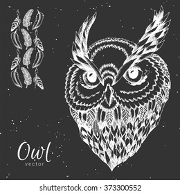 Hand drawn owl