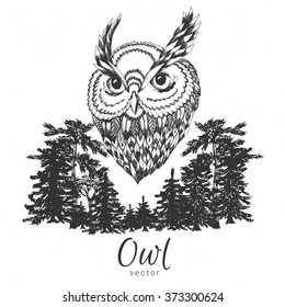 Hand drawn owl