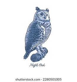 HAND DRAWN OWL BIRD NATURE ANIMAL WILDLIFE NIGHT SLEEP PYJAMAS CUTE PRETTY VINTAGE TSHIRT TEE PRINT FOR APPAREL MERCHANDISE