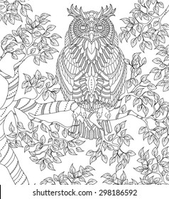 hand drawn owl coloring page