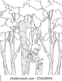 hand drawn owl coloring page