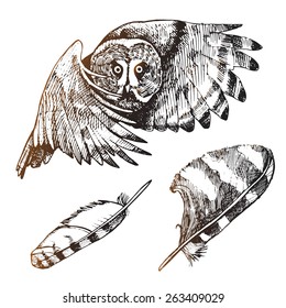 Hand drawn owl and owl feathers. Sketch pens. Feathers bird of prey.