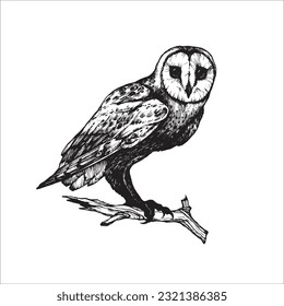 Hand drawn owl illustration, Night bird, Bird drawing, Black owl, beautiful bird, wild animal