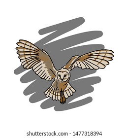 Hand drawn owl logo, vector illustration