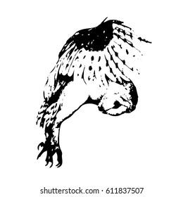 Hand drawn Owl. Natural colors. Illustration.