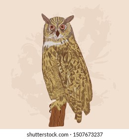Hand drawn owl on grange background sitting on the tree vector illustration. Night bird , gorgeous eagle-owl.