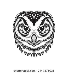 hand drawn  Owl outline vector  design